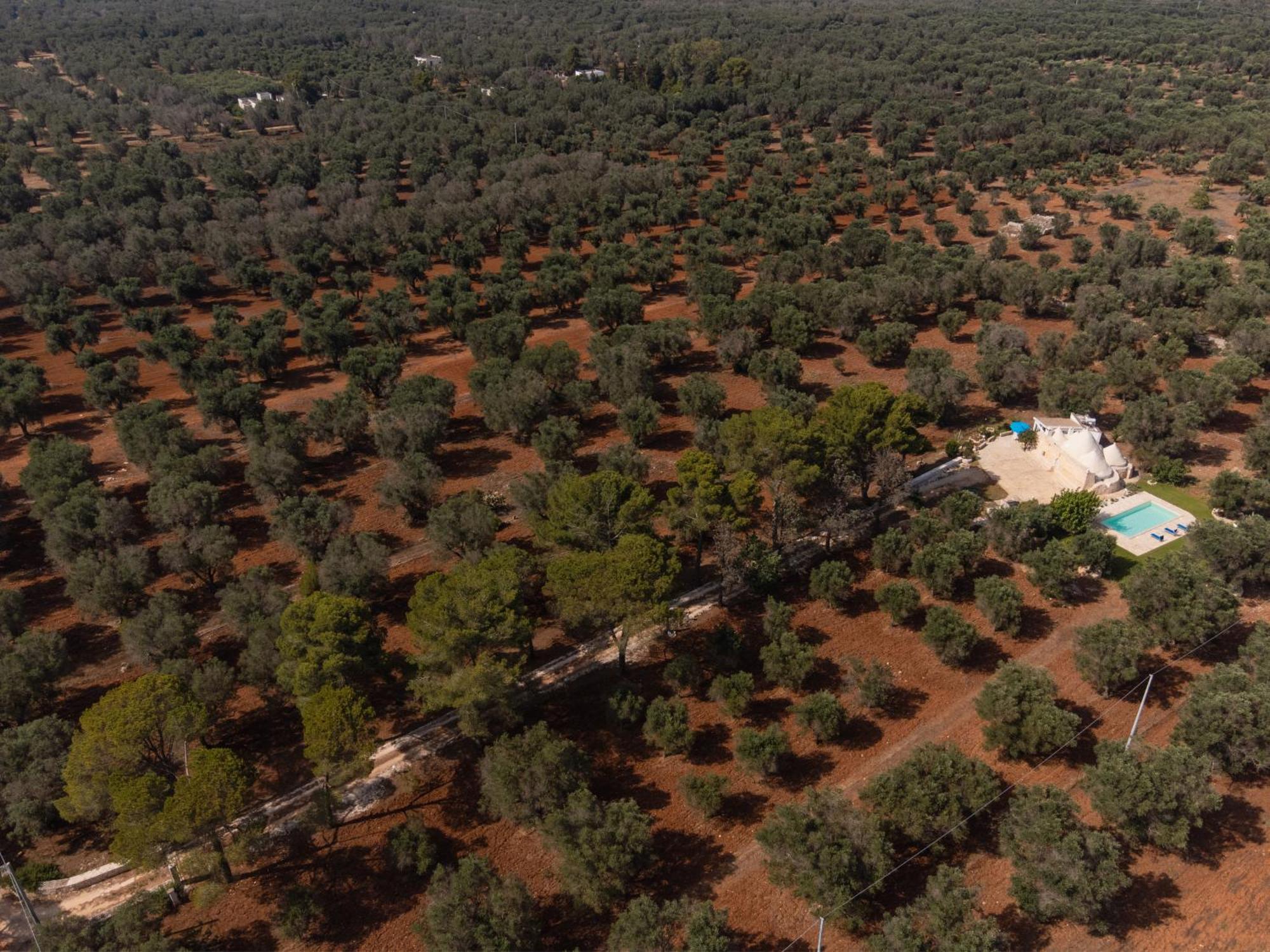 Trullo Tarantini Con Piscina Privata Lägenhet Latiano Exteriör bild