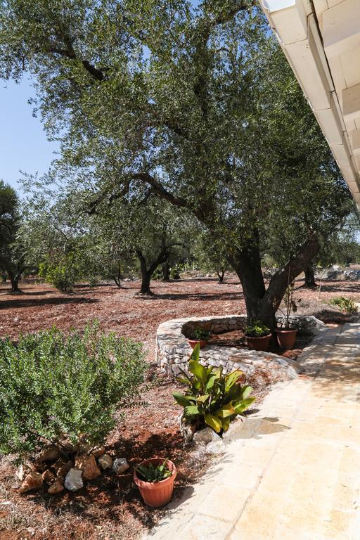 Trullo Tarantini Con Piscina Privata Lägenhet Latiano Exteriör bild